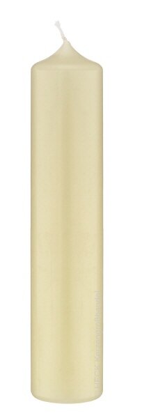 Altarkerzen 10% Bienenwachs-Anteil Vanilla Bisquit